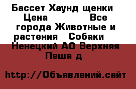 Бассет Хаунд щенки › Цена ­ 20 000 - Все города Животные и растения » Собаки   . Ненецкий АО,Верхняя Пеша д.